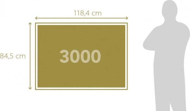 Puzzle Opowieść o Paryżu 3000 elementów