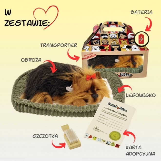 Perfektny Petzzz Szczekający szczeniak York