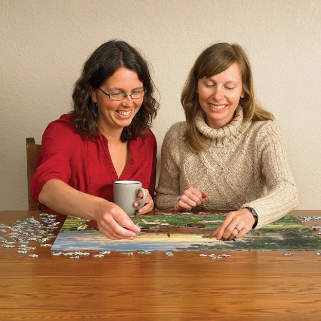 Puzzle Pole przy wschodzie słońca od Cobble Hill 1000 elementów