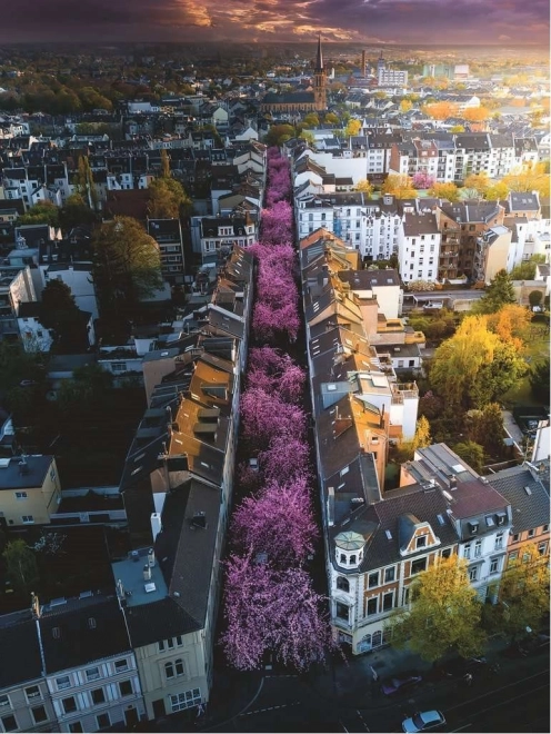 Ravensburger puzzle 1500 elementów Bonn, Niemcy