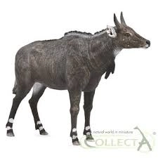 Figurka nilgau COLLECTA