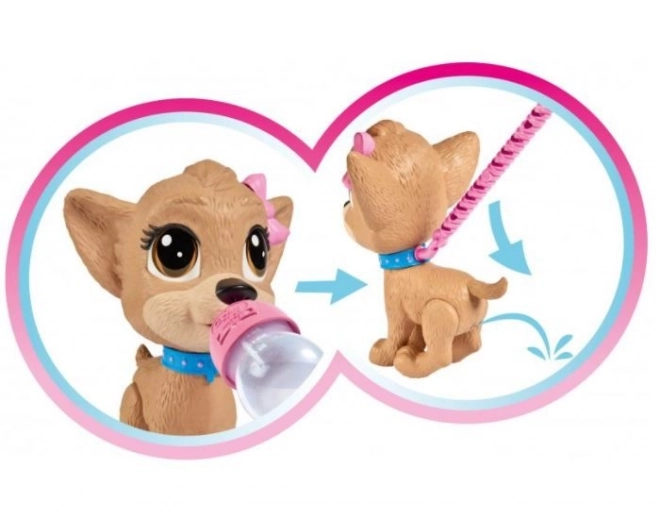 CCL Piesek Chihuahua Pii Pii