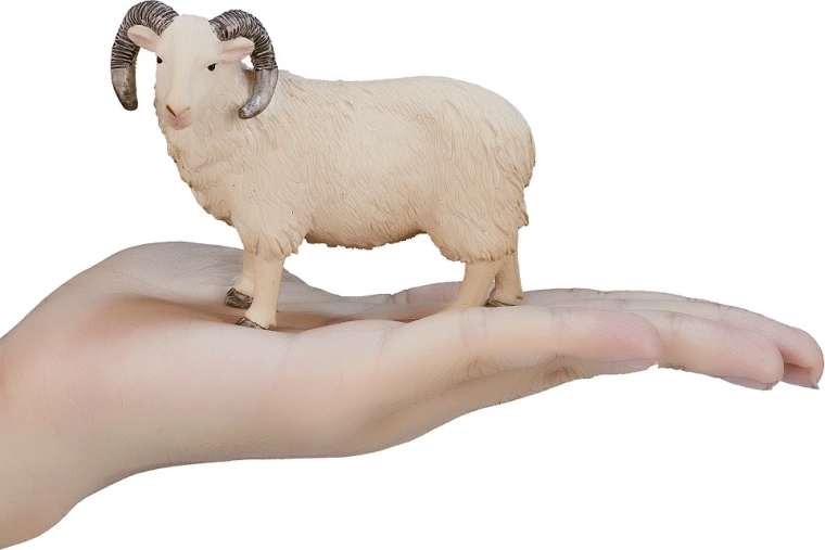 Kompaktowy rozmiar dla małych dłoni