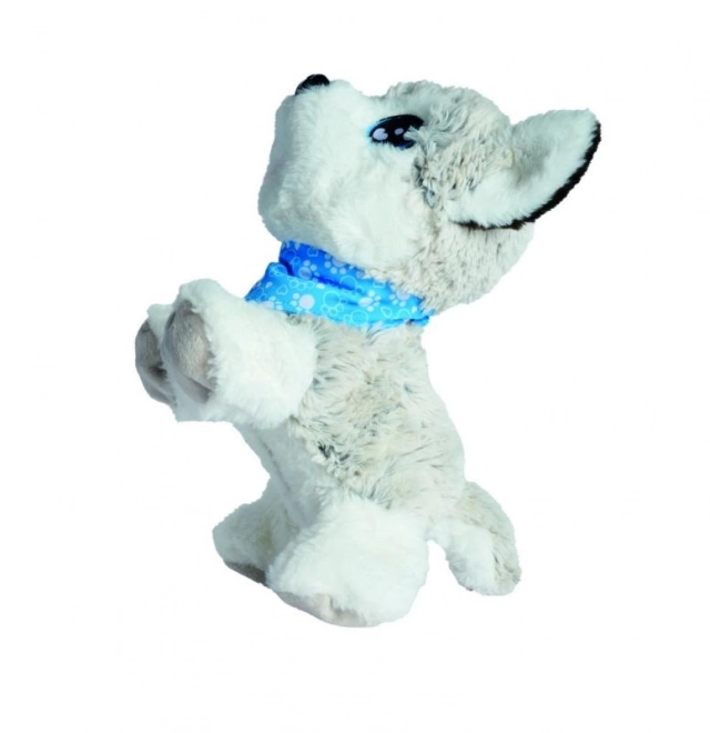 Simba Chi Chi Love interaktywny piesek Husky