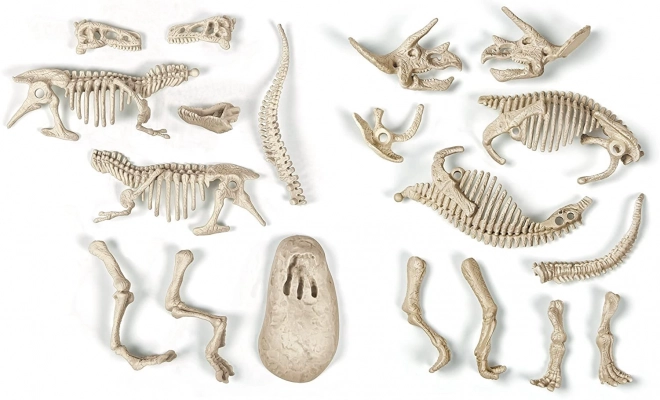 CLEMENTONI Nauka i Zabawa ArcheoFun: T-Rex + Triceratops