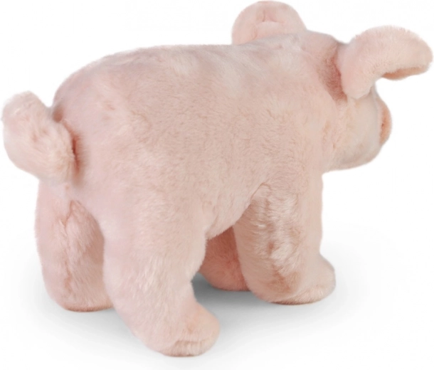 Realistyczny wygląd i miękki plusz