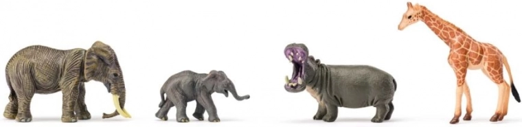 Rozszerzalne safari z małymi i dużymi gatunkami