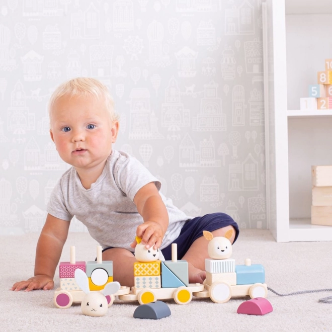 Bigjigs Baby Drewniany pociąg ze zwierzątkami