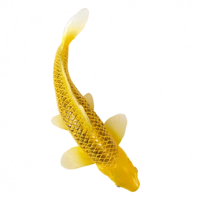 Mojo karp koi Matsuba