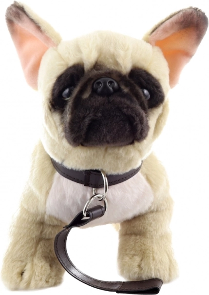 Puszysty Francuski Buldog z Smyczą 26 cm Ekologiczny