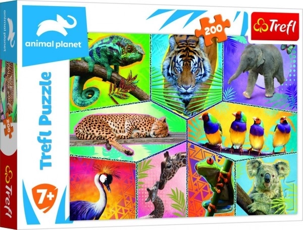 Puzzle Planeta zwierząt 48x34cm 200 elementów w pudełku 33x23x4cm