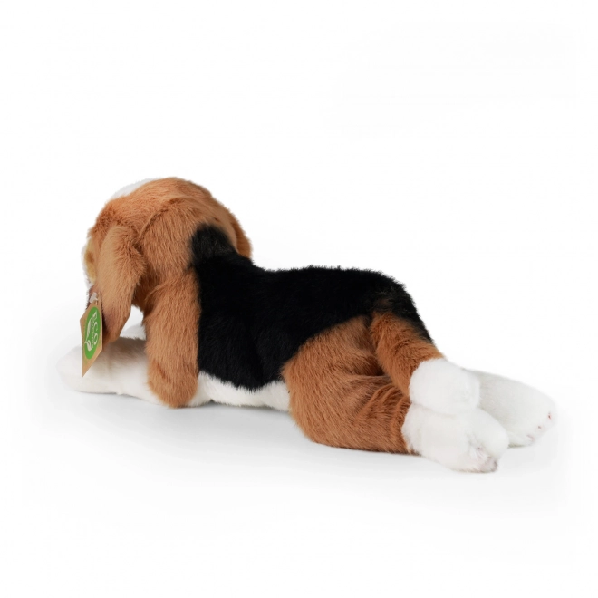 Pluszowy beagle 20 cm eco-friendly
