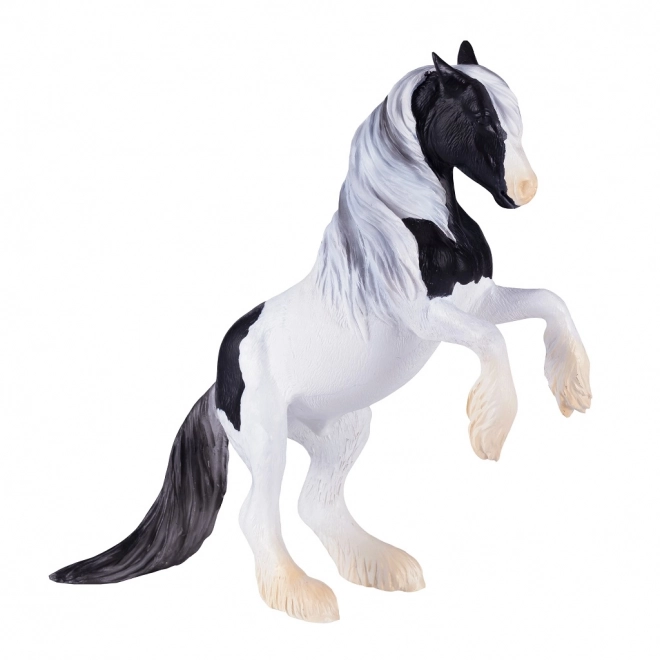 Mojo Ogier Gypsy Vanner