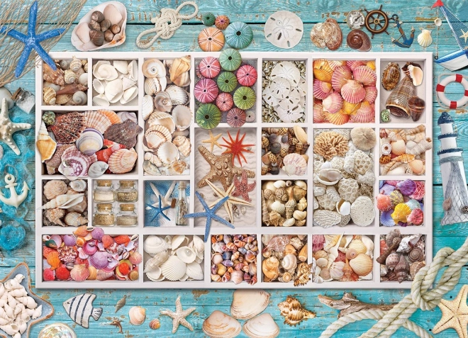 Puzzle EUROGRAPHICS Laurina kolekcja muszli – 1000 elementów
