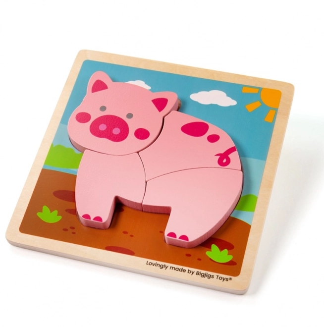 Bigjigs Toys Układanka Praśka