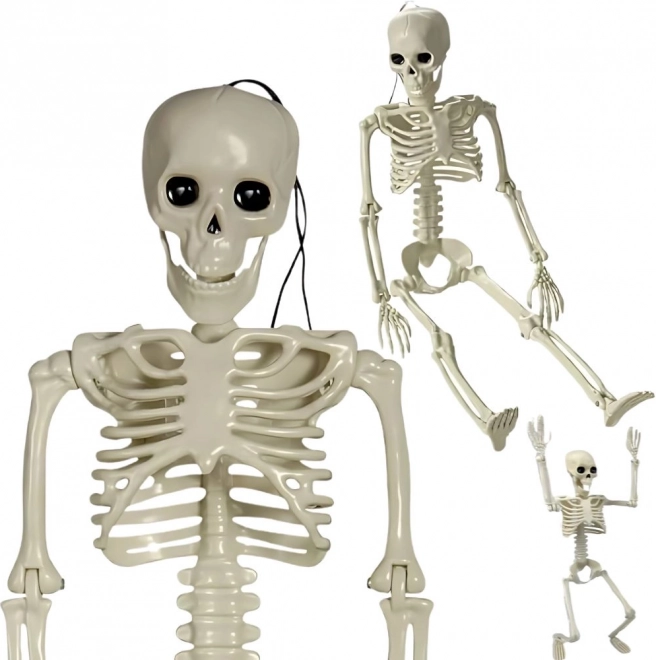 wisząca plastikowa kostra 40 cm – dekoracja halloweenowa
