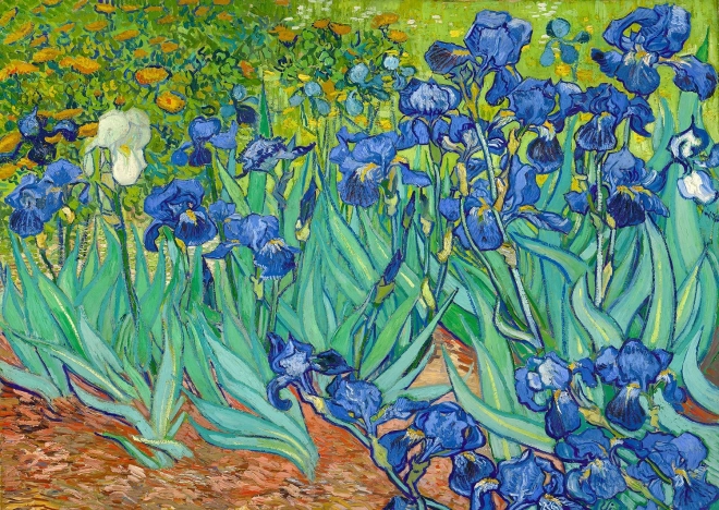 Puzzle Kosacie od Vincenta van Gogha 1000 elementów