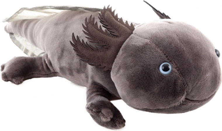 Bezpieczny od urodzenia