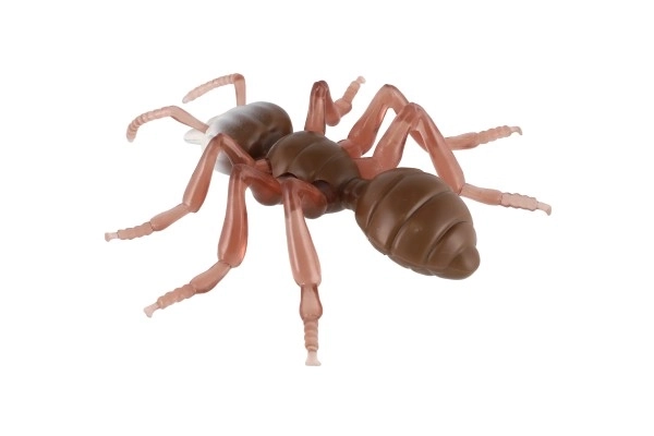Antystresowa Mrówka