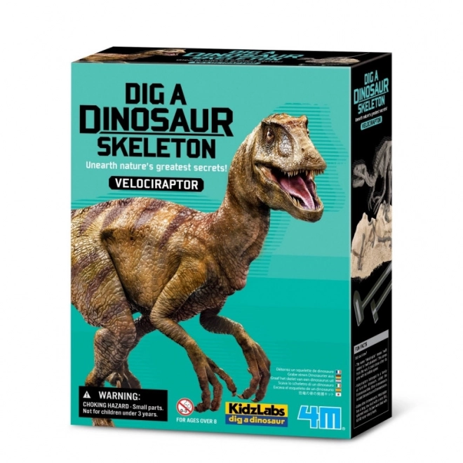 Zestaw wykopaliskowy - Velociraptor