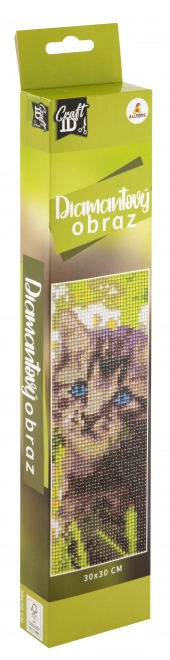 Malowanie diamentowe 30x30 cm