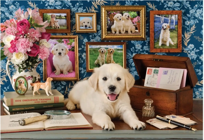 Puzzle Labrador 500 elementów