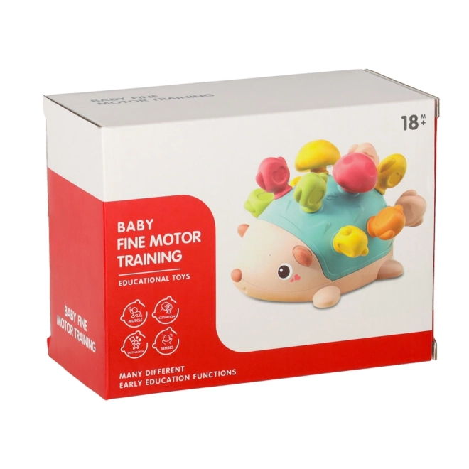 Sensoryczny jeż Montessori zielony