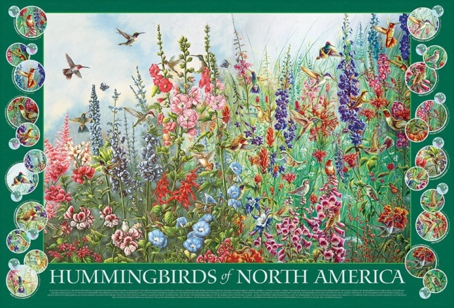 Puzzle Kolibry Ameryki Północnej 2000 elementów od Cobble Hill