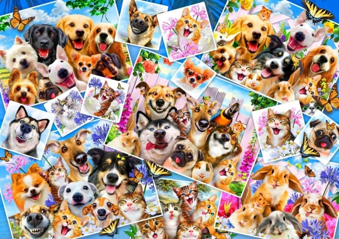Puzzle Kolaż zwierzęcych selfie 1000 elementów