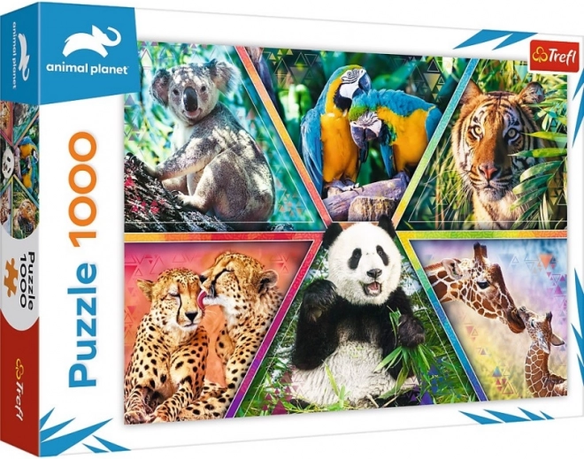 Puzzle 1000 elementów – królestwo zwierząt ANIMAL PLANET