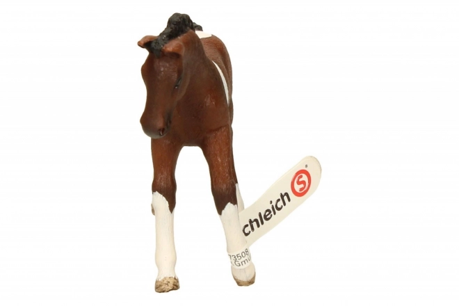 SCHLEICH Horse Club® 13758 Koń trakeński - źrebię