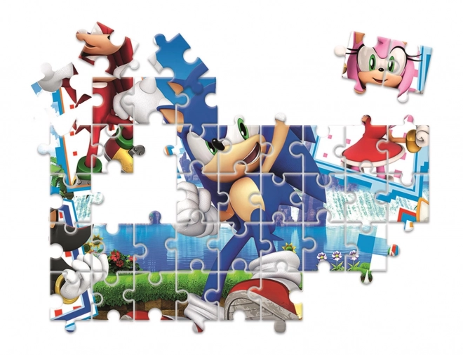 Zestaw Edukacyjny Sonic