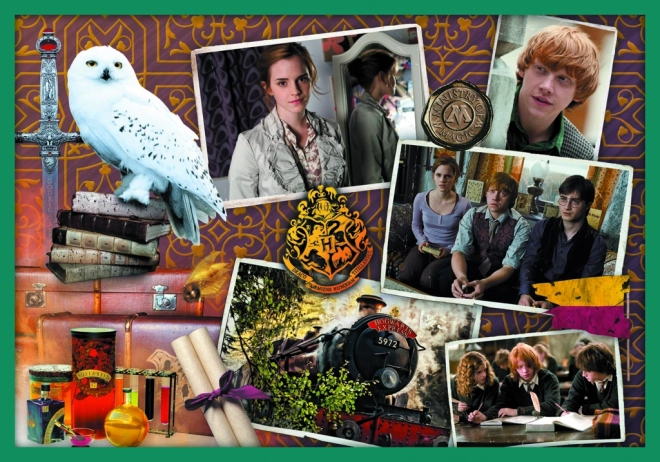 Puzzle Harry Potter - W świecie Harry'ego Pottera 10w1