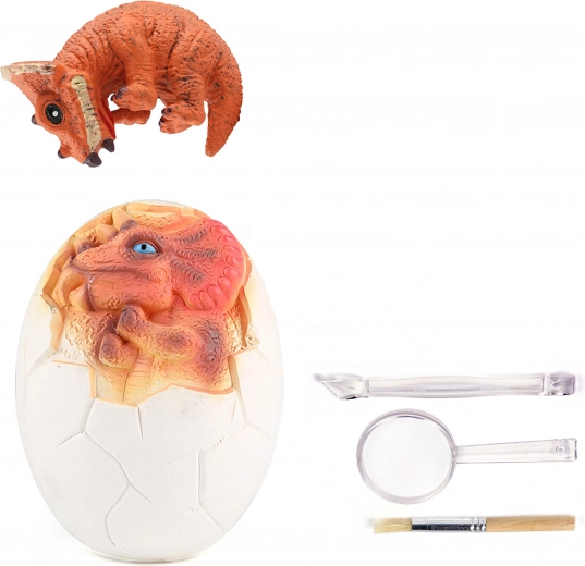 Wszystko, czego potrzeba małym paleontologom