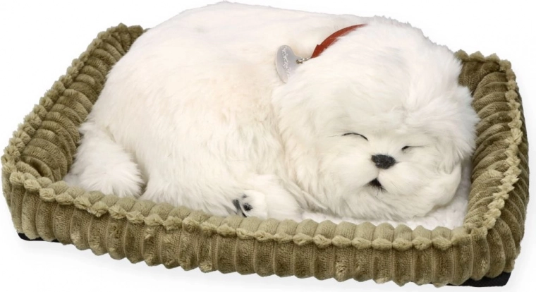 Realistyczny śpiący pupil