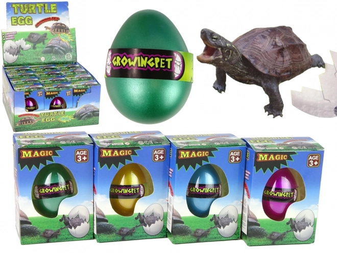 Jajko czarnej żółwia Magic Turtle Egg Growing 6 cm