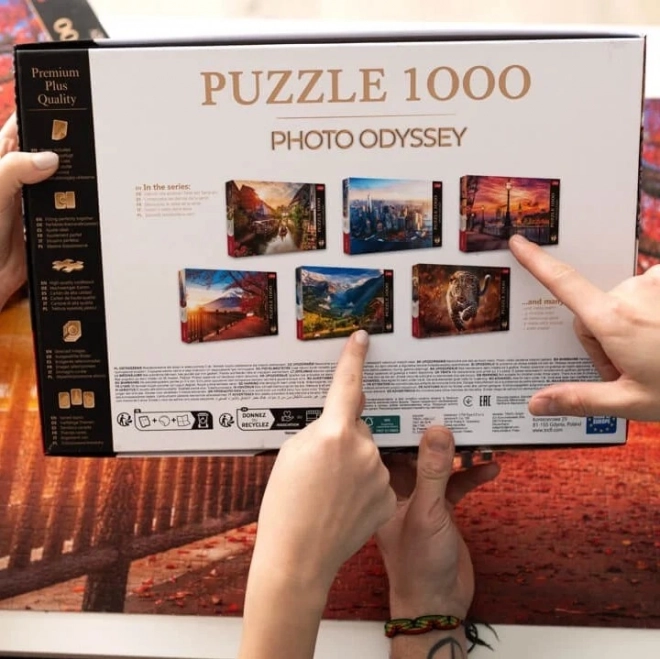 TREFL Puzzle Premium Plus Photo Odyssey: Zamek Neuschwanstein 1000 elementów