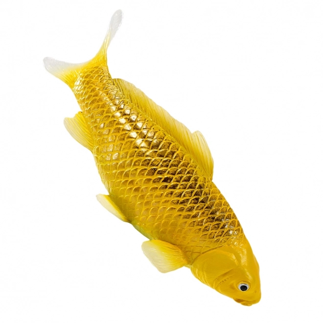 Mojo karp koi Matsuba