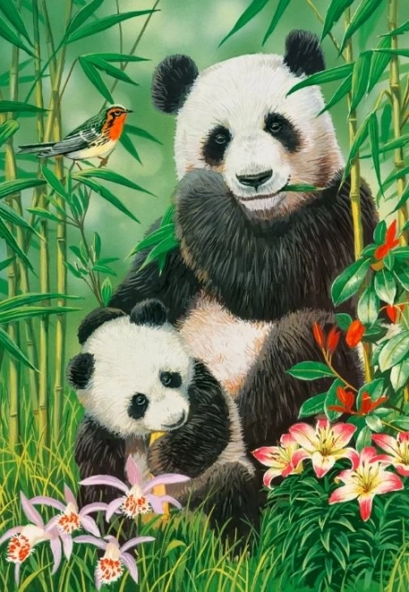 Puzzle 1000 elementów CASTORLAND Panda Brunch