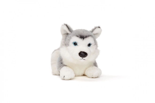 Pluszowy husky 15 cm