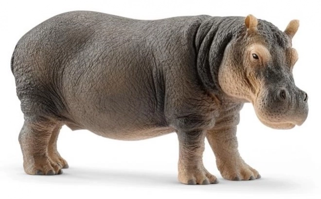 Schleich Wild Life Hipopotam