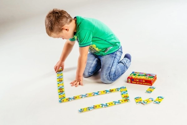 Domino Moje pierwsze zwierzątka drewno gra towarzyska 28szt w pudełku 17x9x3,5cm MPZ