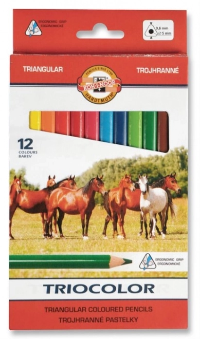 KOH-I-NOOR Trójkątne kredki Triocolor 12 szt.