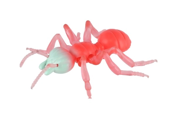 Antystresowa Mrówka