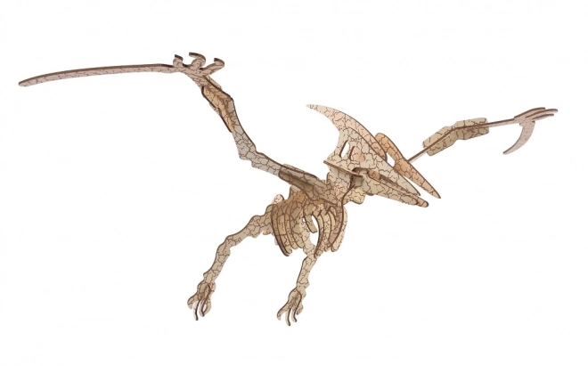 Woodcraft Drewniane 3D puzzle Pterozaur