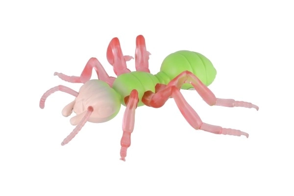 Antystresowa Mrówka