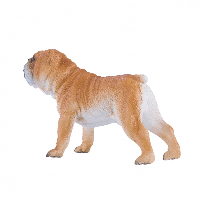 Mojo Buldog Angielski