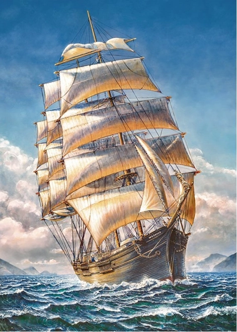 Puzzle CHERRY PAZZI Żaglówka WR Grace 1000 elementów