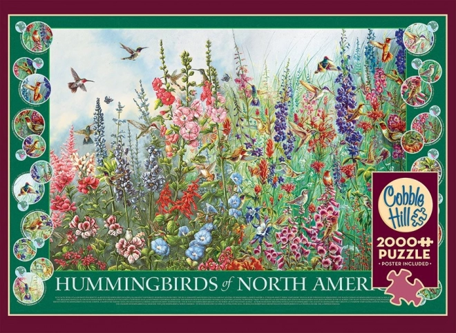 Puzzle Kolibry Ameryki Północnej 2000 elementów od Cobble Hill
