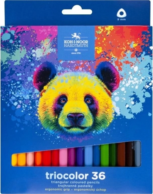 Trójkątne kredki Triocolor 36 szt. NIEDŹWIEDŹ KOH‑I‑NOOR